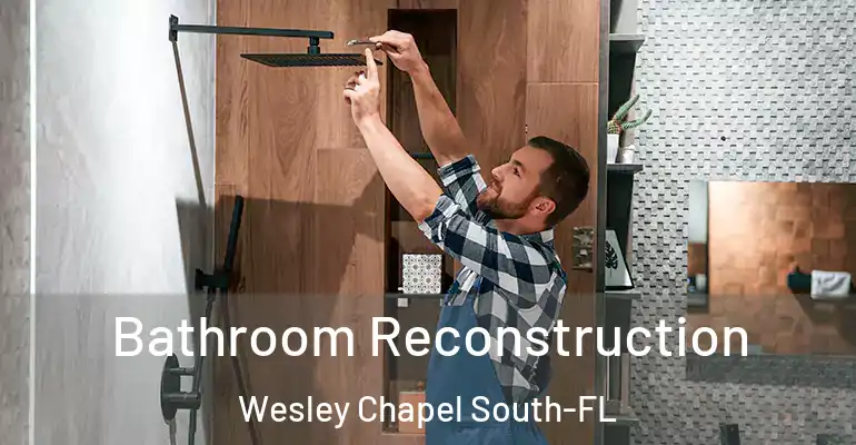 inner Bathroom imggen Bathroom Reconstruction Wesley Chapel South-FL