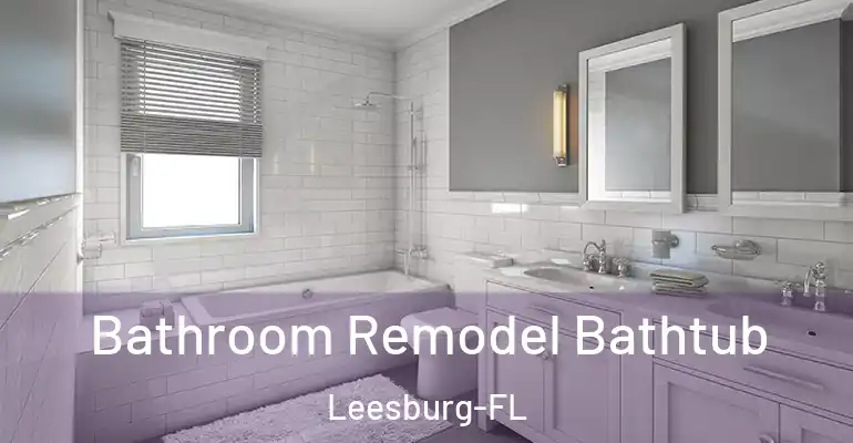 inner Bathroom imggen Bathroom Remodel Bathtub Leesburg-FL