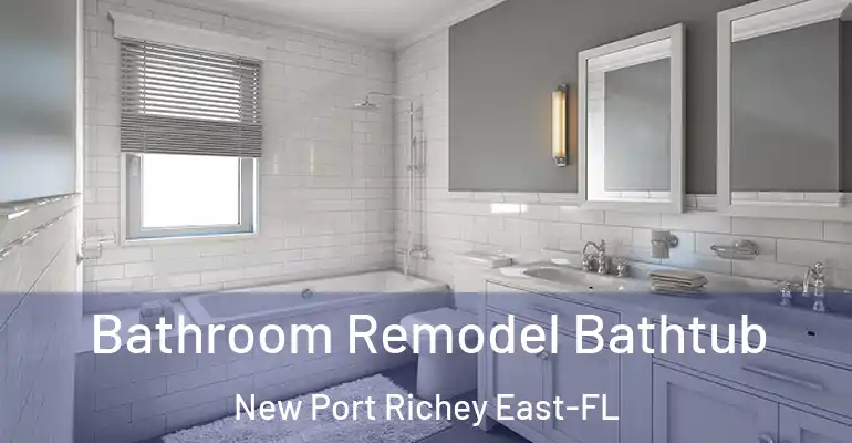 inner Bathroom imggen Bathroom Remodel Bathtub New Port Richey East-FL