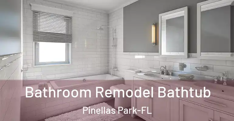 inner Bathroom imggen Bathroom Remodel Bathtub Pinellas Park-FL