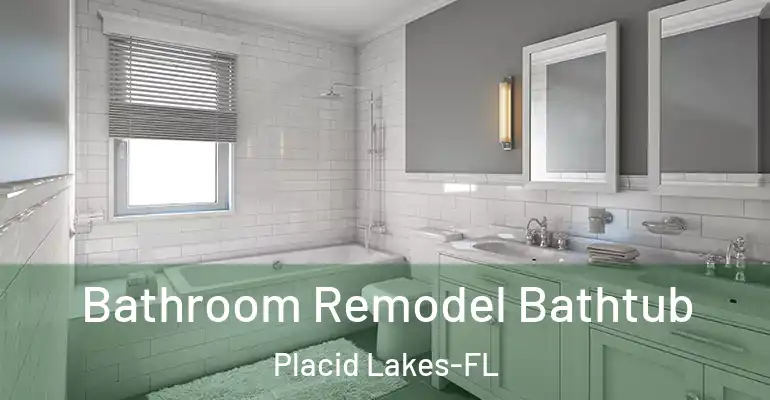 inner Bathroom imggen Bathroom Remodel Bathtub Placid Lakes-FL