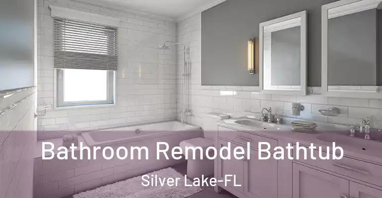 inner Bathroom imggen Bathroom Remodel Bathtub Silver Lake-FL