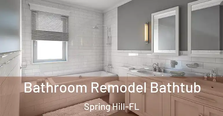 inner Bathroom imggen Bathroom Remodel Bathtub Spring Hill-FL