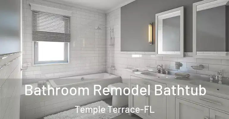 inner Bathroom imggen Bathroom Remodel Bathtub Temple Terrace-FL