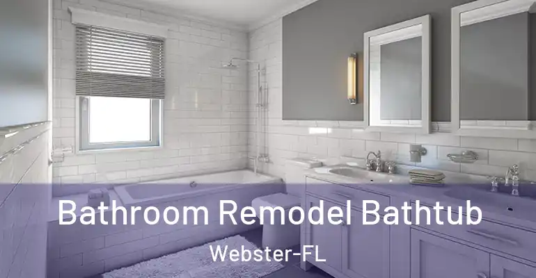 inner Bathroom imggen Bathroom Remodel Bathtub Webster-FL