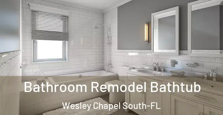 inner Bathroom imggen Bathroom Remodel Bathtub Wesley Chapel South-FL
