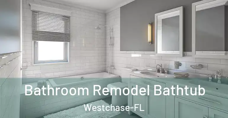 inner Bathroom imggen Bathroom Remodel Bathtub Westchase-FL