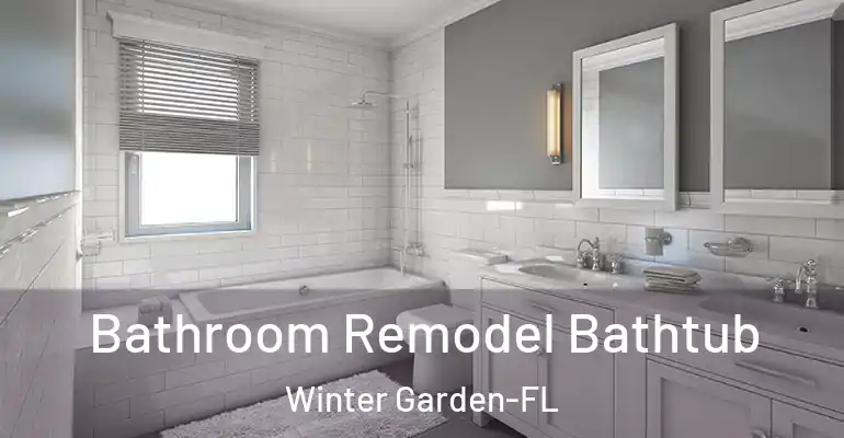 inner Bathroom imggen Bathroom Remodel Bathtub Winter Garden-FL