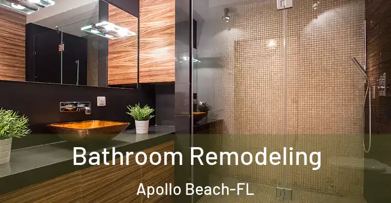 inner Bathroom imggen Bathroom Remodeling Apollo Beach-FL