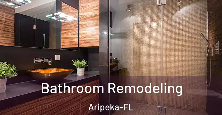 inner Bathroom imggen Bathroom Remodeling Aripeka-FL