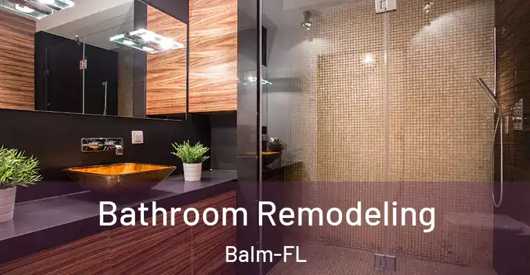inner Bathroom imggen Bathroom Remodeling Balm-FL