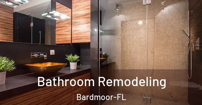 inner Bathroom imggen Bathroom Remodeling Bardmoor-FL