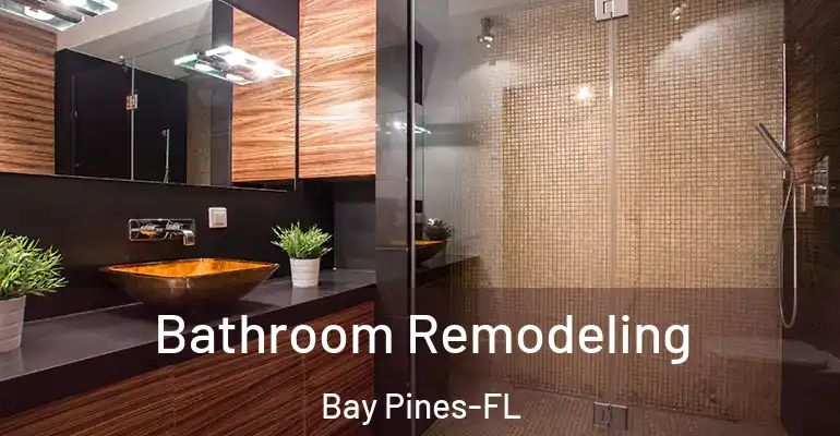 inner Bathroom imggen Bathroom Remodeling Bay Pines-FL
