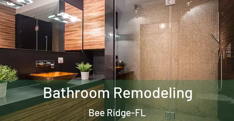 inner Bathroom imggen Bathroom Remodeling Bee Ridge-FL