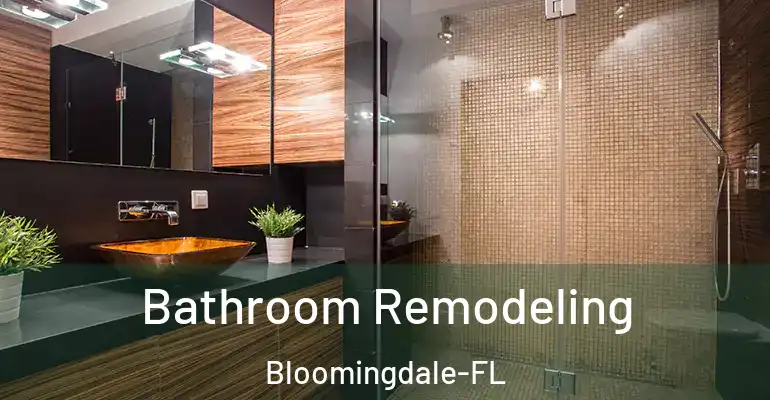 inner Bathroom imggen Bathroom Remodeling Bloomingdale-FL