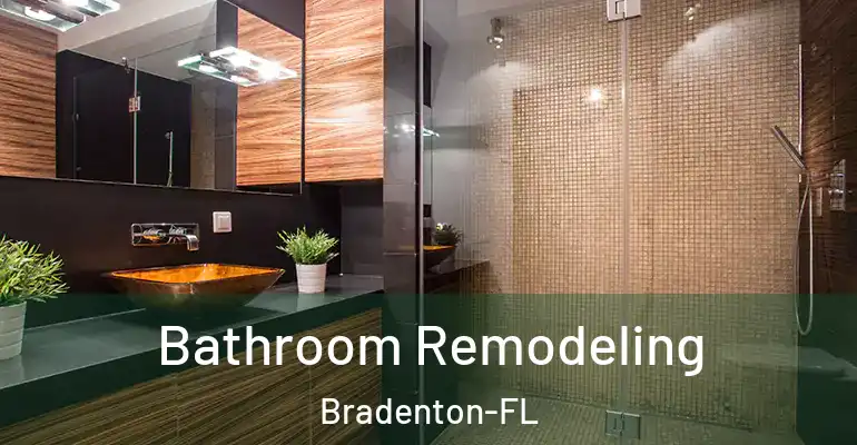 inner Bathroom imggen Bathroom Remodeling Bradenton-FL