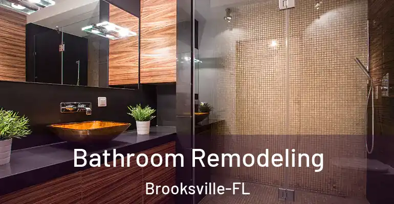 inner Bathroom imggen Bathroom Remodeling Brooksville-FL