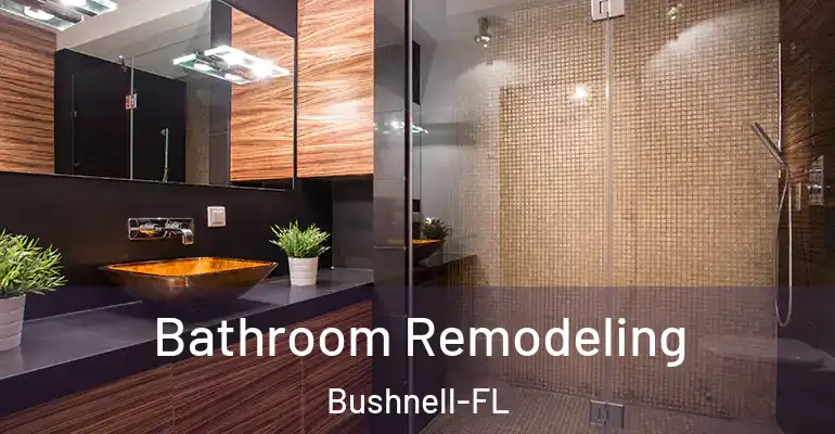 inner Bathroom imggen Bathroom Remodeling Bushnell-FL
