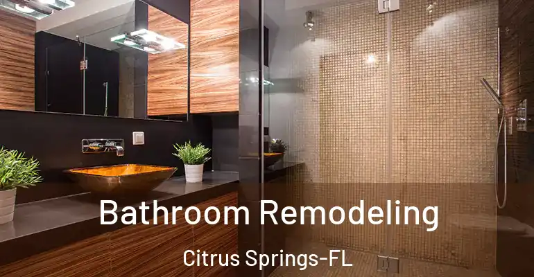 inner Bathroom imggen Bathroom Remodeling Citrus Springs-FL