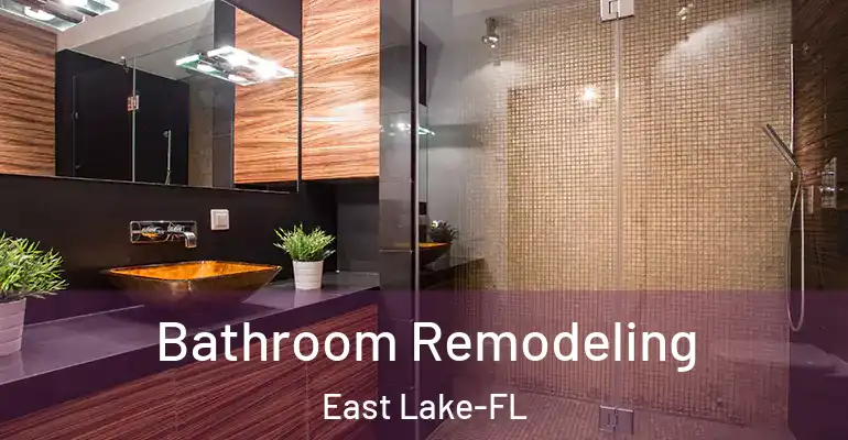 inner Bathroom imggen Bathroom Remodeling East Lake-FL