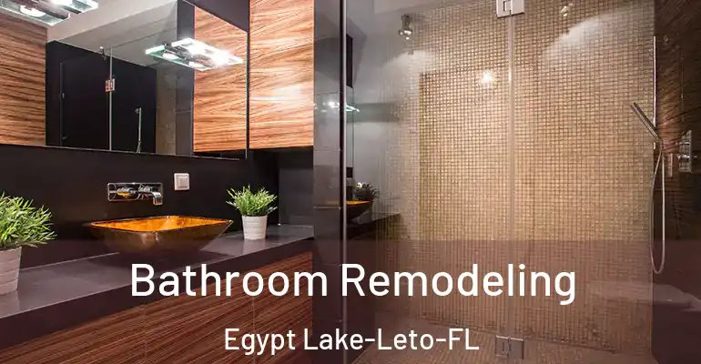 inner Bathroom imggen Bathroom Remodeling Egypt Lake-Leto-FL