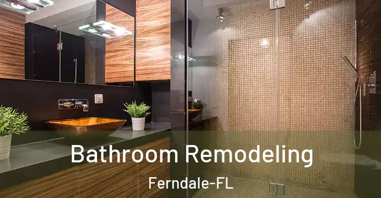 inner Bathroom imggen Bathroom Remodeling Ferndale-FL