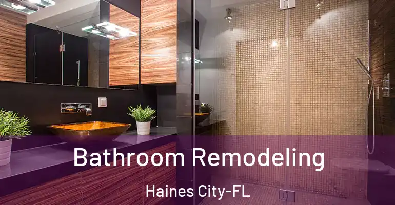 inner Bathroom imggen Bathroom Remodeling Haines City-FL