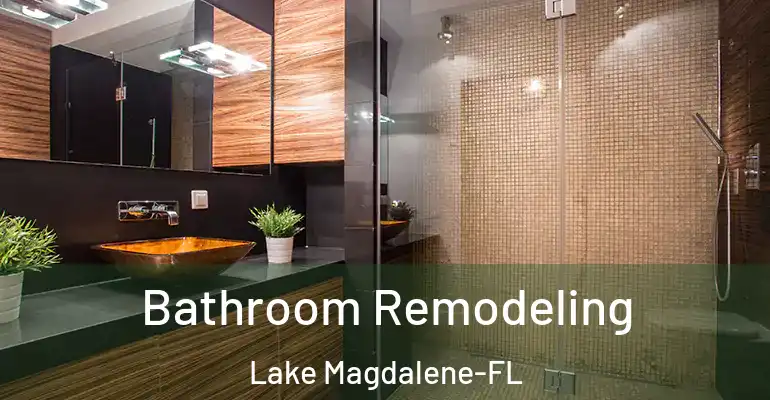 inner Bathroom imggen Bathroom Remodeling Lake Magdalene-FL