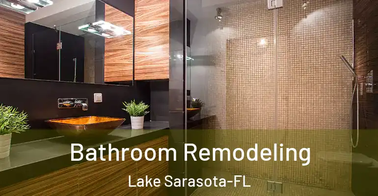 inner Bathroom imggen Bathroom Remodeling Lake Sarasota-FL