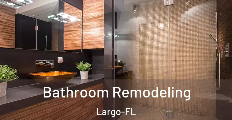 inner Bathroom imggen Bathroom Remodeling Largo-FL