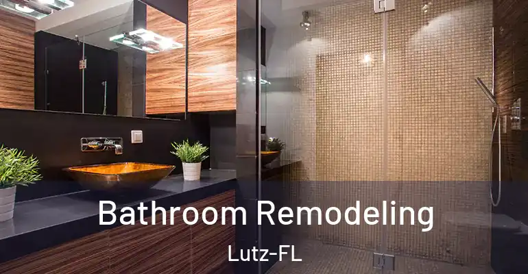 inner Bathroom imggen Bathroom Remodeling Lutz-FL