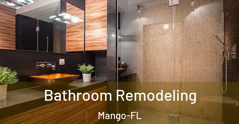inner Bathroom imggen Bathroom Remodeling Mango-FL