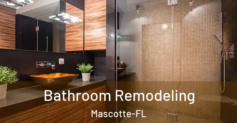 inner Bathroom imggen Bathroom Remodeling Mascotte-FL
