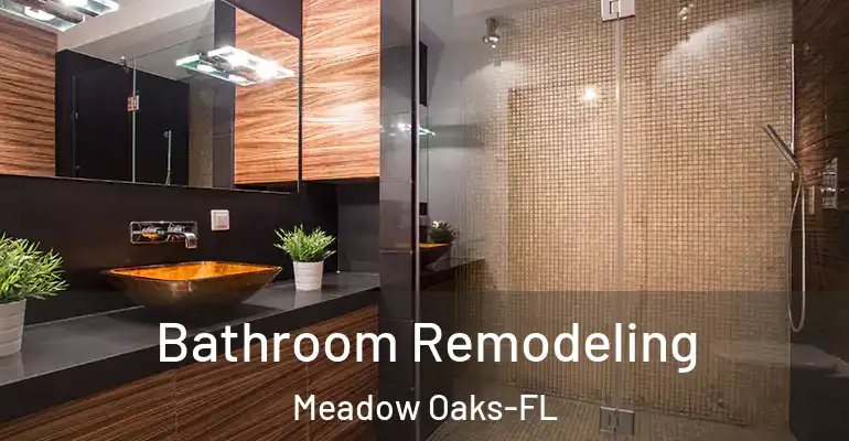 inner Bathroom imggen Bathroom Remodeling Meadow Oaks-FL