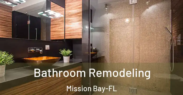 inner Bathroom imggen Bathroom Remodeling Mission Bay-FL