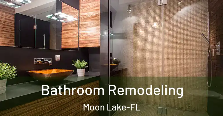 inner Bathroom imggen Bathroom Remodeling Moon Lake-FL