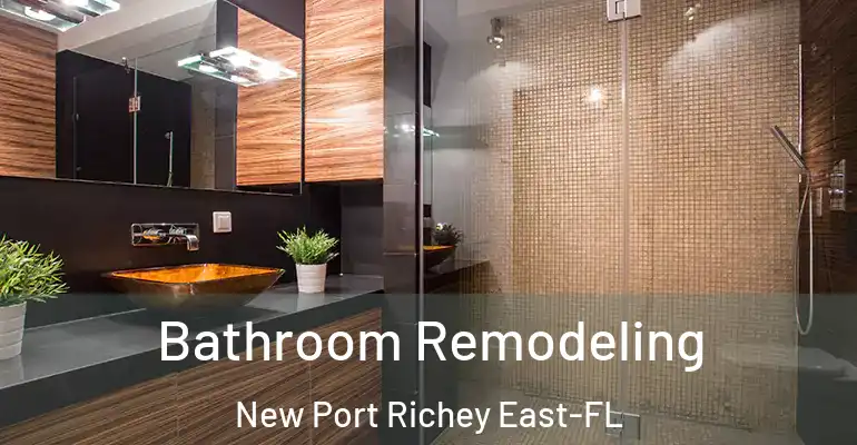 inner Bathroom imggen Bathroom Remodeling New Port Richey East-FL