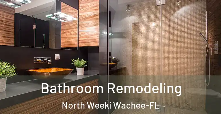 inner Bathroom imggen Bathroom Remodeling North Weeki Wachee-FL