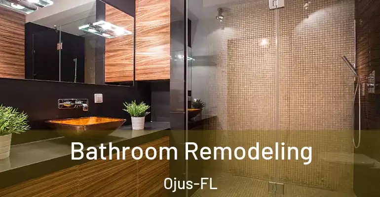 inner Bathroom imggen Bathroom Remodeling Ojus-FL