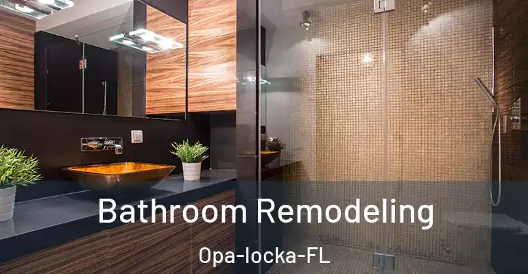 inner Bathroom imggen Bathroom Remodeling Opa-locka-FL