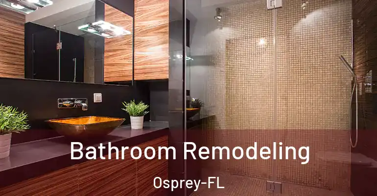 inner Bathroom imggen Bathroom Remodeling Osprey-FL