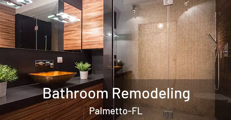 inner Bathroom imggen Bathroom Remodeling Palmetto-FL