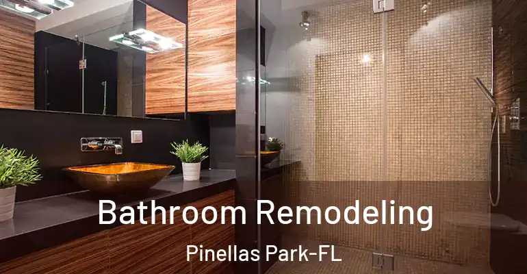 inner Bathroom imggen Bathroom Remodeling Pinellas Park-FL