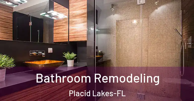 inner Bathroom imggen Bathroom Remodeling Placid Lakes-FL