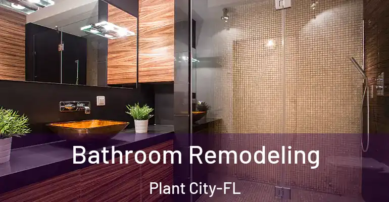 inner Bathroom imggen Bathroom Remodeling Plant City-FL