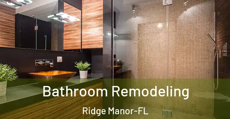 inner Bathroom imggen Bathroom Remodeling Ridge Manor-FL