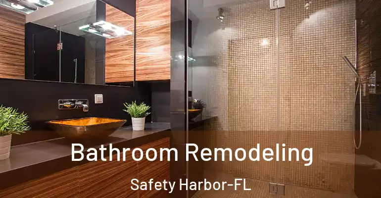 inner Bathroom imggen Bathroom Remodeling Safety Harbor-FL