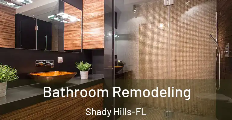 inner Bathroom imggen Bathroom Remodeling Shady Hills-FL