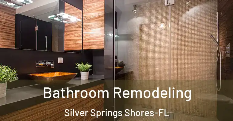 inner Bathroom imggen Bathroom Remodeling Silver Springs Shores-FL