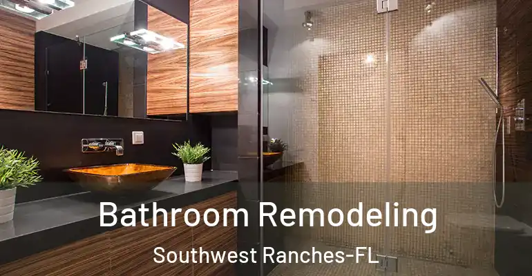 inner Bathroom imggen Bathroom Remodeling Southwest Ranches-FL